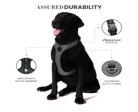 Truelove Harness With Reflective Fabric at ithinkpets.com