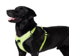 Truelove Harness With Reflective Fabric Neon Yellow at ithinkpets.com