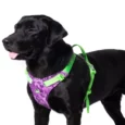 Truelove No Pull Special Edition Harness Camouflage Purple