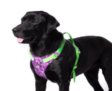 Truelove No Pull Special Edition Harness Camouflage Purple at ithinkpets.com (1)