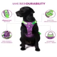 Truelove No Pull Special Edition Harness Camouflage Purple