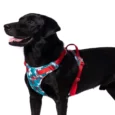 Truelove No Pull Special Edition Harness Camouflage blue