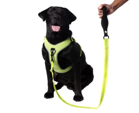Truelove Nylon Leash Neon Yellow at ithinkpets.com