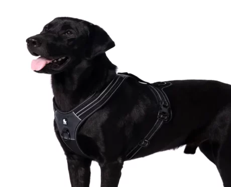 Truelove Sports Harness Black at ithinkpets.com (2)