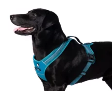 Truelove Sports Harness Blue at ithinkpets.com (2)