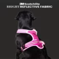 Truelove Sports Harness Fuchsia Pink for Dogs