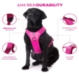 Truelove Sports Harness Fuchsia Pink for Dogs