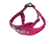 Truelove Step in Harness Fuchsia at ithinkpets.com