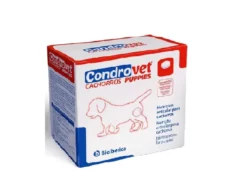 Vivaldis Condrovet for puppies at ithinkpets.com (1)