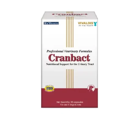 Vivaldis Cranbact 30 tabs for Dogs & Cats at ithinkpets.com (1) (1)