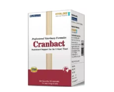 Vivaldis Cranbact 30 tabs for Dogs & Cats at ithinkpets.com (2) (1)