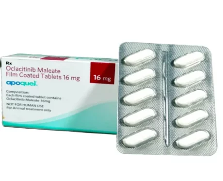 Zoetis Apoquel for dogs