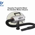 Aeolus Aeolian Blaster Single Motor Dog Dryer With Heater Function, 2800W