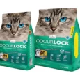 Intersand Odourlock Scented Cat Litter, Calming Breeze, 12 kgs