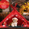 Jazz My Home Woofmas Dog Tent House