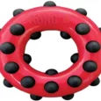 Kong Dotz Circle, Dog Chew Toy