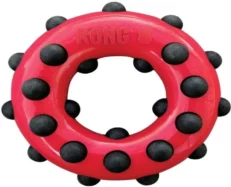 Kong Dotz Circle, Dog Chew Toy at ithinkpets.com (2)