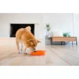 Outward Hound Fun Feeder Mini Slow Feed Dog Bowl, 25 Cms