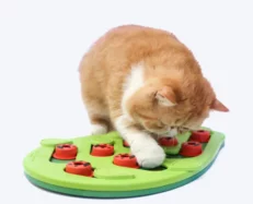 Outward Hound Nina Ottosson Buggin Out Puzzle Slide Interactive Cat Toy, Green at ithinkpets.com (2)