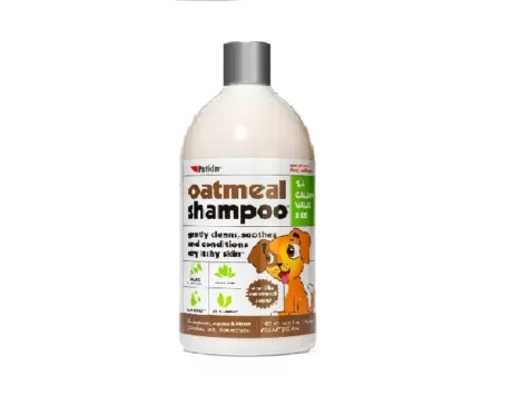 Petkin Oatmeal Dog Shampoo, 1000 ml at ithinkpets.com (1) (1)