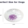 Petstages Nubbiez Treat & Squeak Dog Ball, Purple, Large