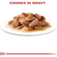 Royal Canin Ageing 12+ in Gravy, Cat Wet Food