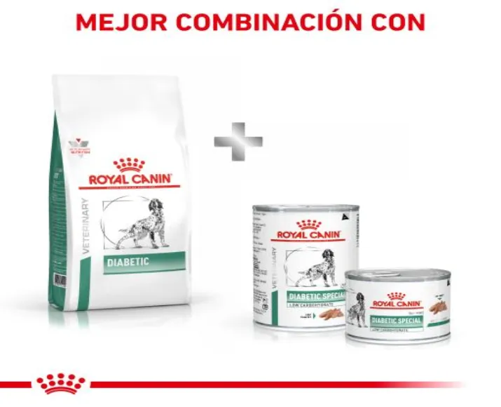 Royal Canin Diabetic Dog Dry Food at ithinkpets.com (7)