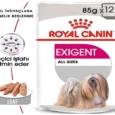 Royal Canin Exigent Loaf Dog Wet Food, 85 Gms