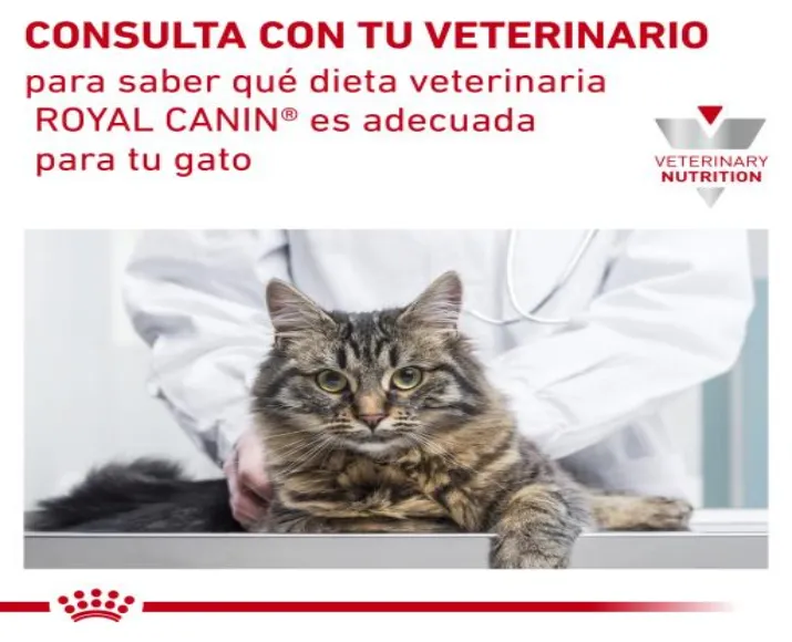 Royal Canin Hypoallergenic Cat Dry Food at ithinkpets.com (7)