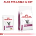 Royal Canin Veterinary Diet Renal Cat Wet Food Chicken, 85 Gms