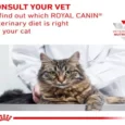 Royal Canin Veterinary Diet Renal Cat Wet Food Chicken, 85 Gms