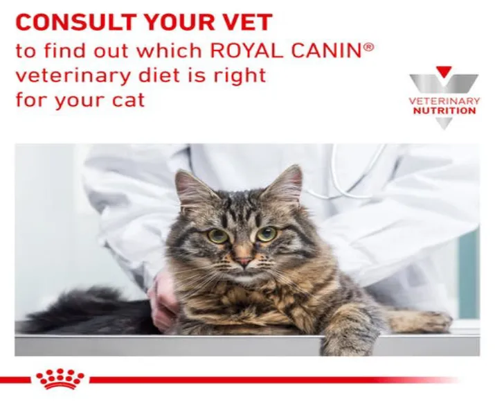 Royal Canin Veterinary Diet Renal Cat Wet Food Chicken, 85 Gms at ithinkpets.com (6)