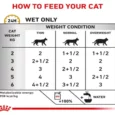 Royal Canin Veterinary Urinary S/O Cat in Gravy, 85 Gms