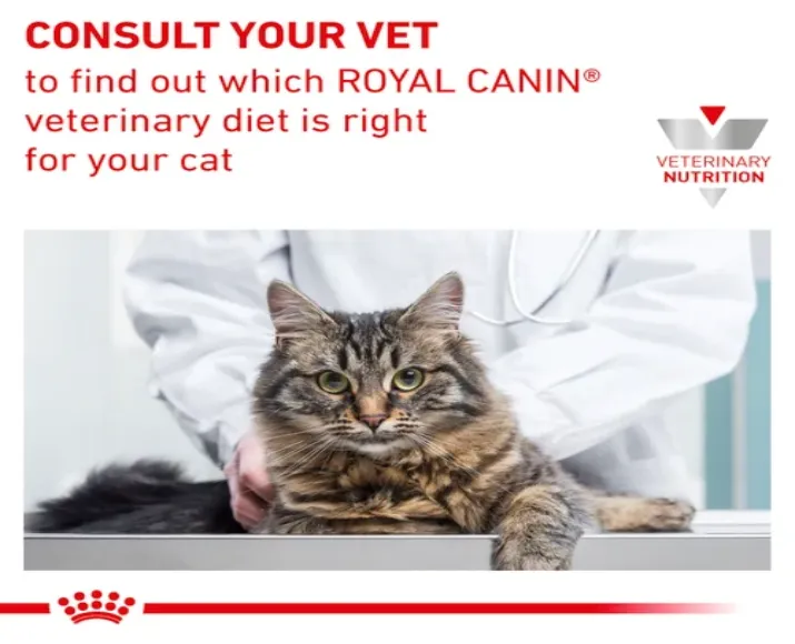 Royal Canin Veterinary Urinary S.O Cat in Gravy, 85 Gms at ithinkpets.com (8)