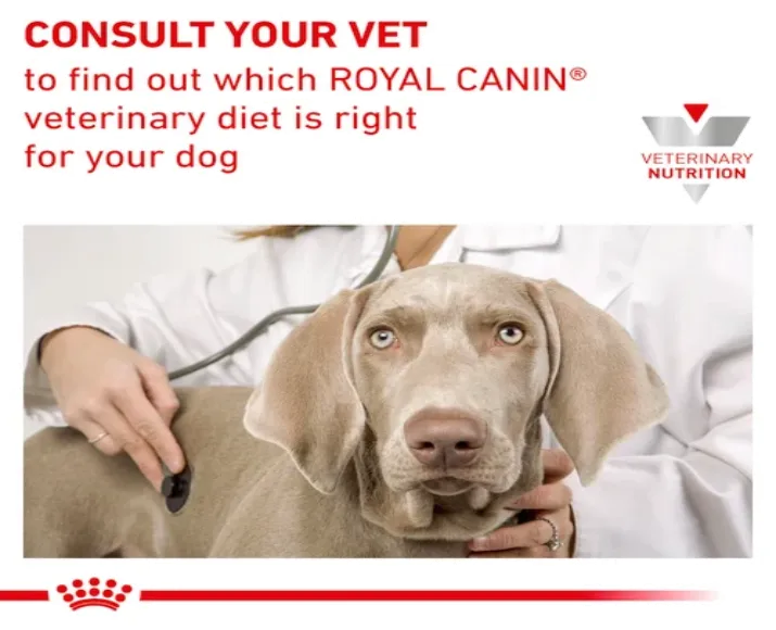 Royal Canin Veterinary Urinary S.O Dog Thin Slices in Gravy, 100 Gms at ithinkpets.com (6)