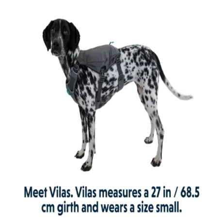 Ruffwear Switchbak Harness Granite Gray at ithinkpets.com