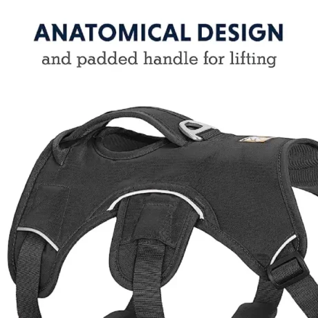 Ruffwear Web Master Twilight Gray at ithinkpets.com