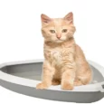 Savic Rincon Corner Cat Litter Tray with Rim For Cats, 23x18x5 inch