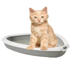 Savic Rincon Corner Cat Litter Tray with Rim For Cats, 23x18x5 inch at ithinkpets.com (2)