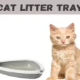 Savic Rincon Corner Cat Litter Tray with Rim For Cats, 23x18x5 inch