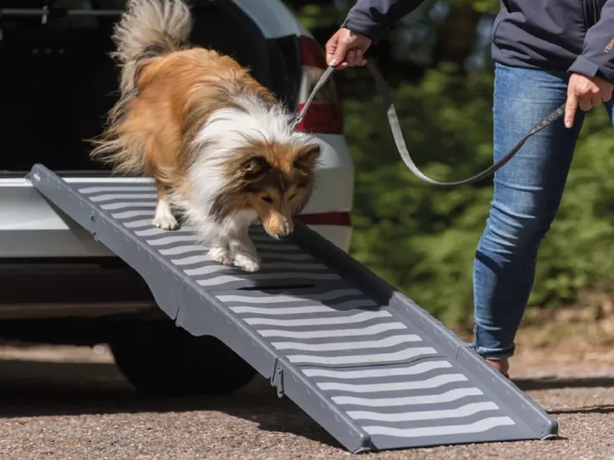 Trixie ramp outlet