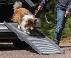 Trixie 3-Fold Grey Ramp plastic TPR Hold for Pets, 39 X 150 cm at ithinkpets.com (2)