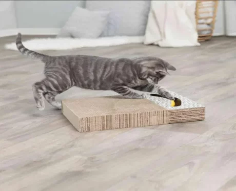 Trixie Cardboard Scratch Board with 2 Balls for Cats at ithinkpets.com (2)