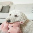 Trixie Hippo Plush Toy for Dogs
