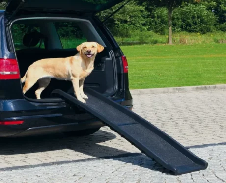 Trixie Petwalk Folding Ramp For Pets Black, 40x156 cm at ithinkpets.com (1)