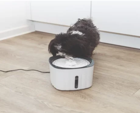 Trixie Water Drinking Fountain Flower for Dogs and Cats, 2 Litre at ithinkpets.com (2)