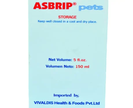 Vivaldis Asbrip at ithinkpets.com