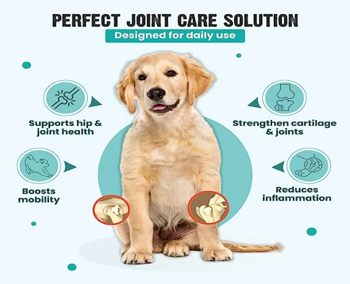 Vivaldis Bark Out Loud Hip & Joint Supplement for Dogs, 10 Tabs at ithinkpets.com (3)