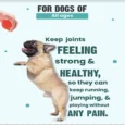 Vivaldis Bark Out Loud Hip & Joint Supplement for Dogs, 10 Tabs