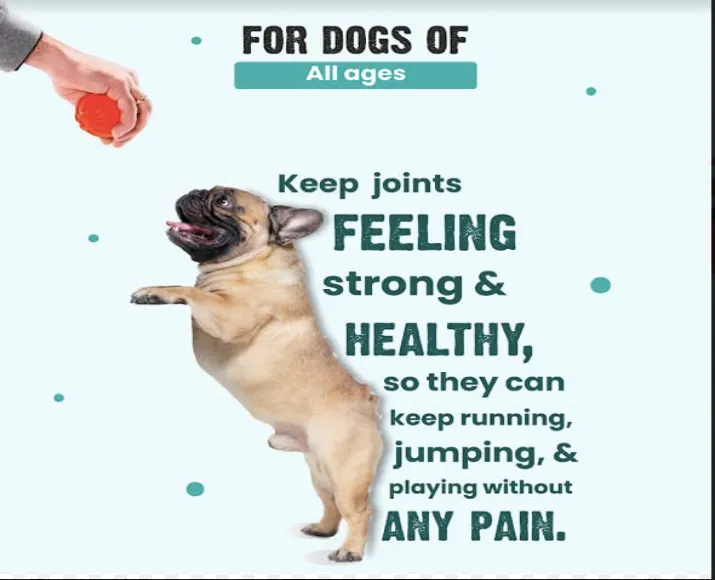 Vivaldis Bark Out Loud Hip & Joint Supplement for Dogs, 10 Tabs at ithinkpets.com (6)